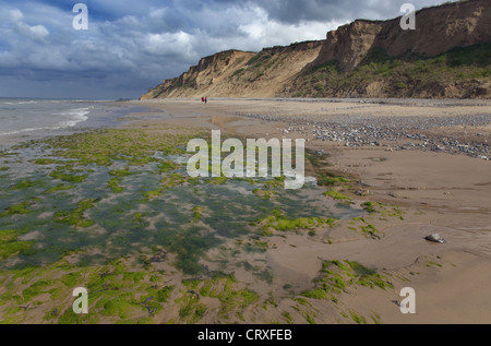 Foreshore West Runton Beach Norkfolk SSSI in estate Foto Stock