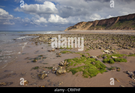 Foreshore West Runton Beach Norkfolk SSSI in estate Foto Stock