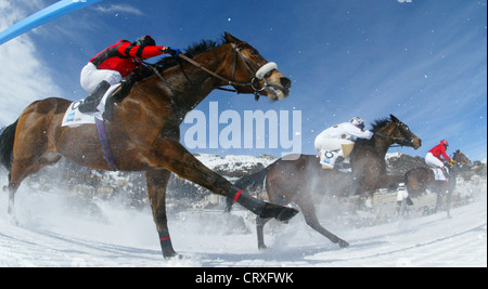 Corse di cavalli sul lago ghiacciato di St. Moritz Foto Stock