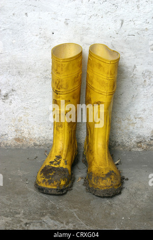 Sporchi stivali di gomma su una parete basale Foto Stock