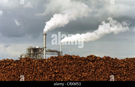 Comignoli fumanti di un impianto industriale Foto Stock