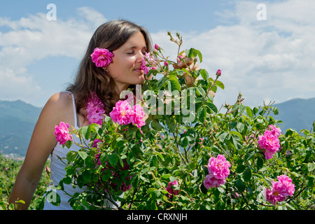 Bella ragazza odorare una rosa in un campo di rose Foto Stock