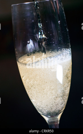 Europa spumante italiano bolle in un bicchiere Foto Stock
