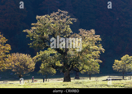 Austria, Tirolo e vista delle montagne Karwendel in autunno Foto Stock