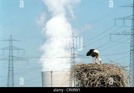 Cicogna nel nido prima Kuehltuermen e poli di potenza Foto Stock