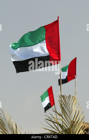 Foto rappresentativa della Bandiera degli Emirati Arabi Uniti Dubai Foto Stock