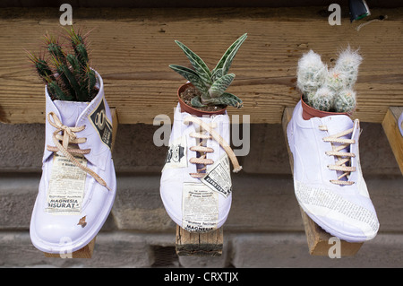 Scarpe riciclato utilizzato come fiore portavasi con cactus piantato in essi Foto Stock