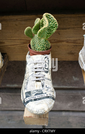 Scarpe riciclato utilizzato come fiore portavasi con cactus piantato in essi Foto Stock