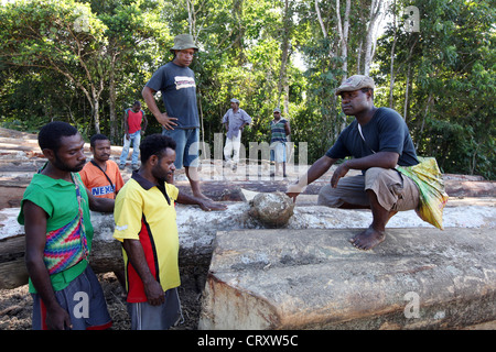 Boscaioli in una radura di un area di log, provincia di Madang, Papua Neuguinea Foto Stock