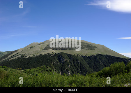 Italia, Basilicata, Parco Nazionale dell'Appennino Lucano, Monte Raparo Foto Stock