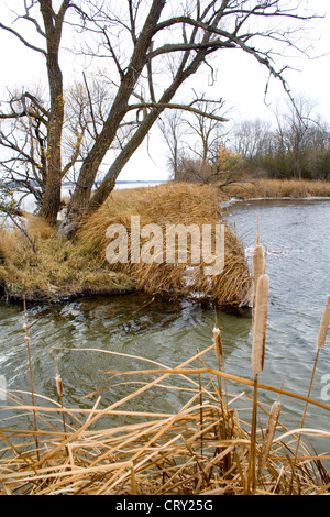 Canale tra lago e Clitherall slough. Clitherall Minnesota MN USA Foto Stock