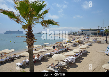 Plage Publique (spiaggia pubblica), Cannes, Côte d'Azur, Alpes-Maritimes, Provence-Alpes-Côte d'Azur, in Francia Foto Stock