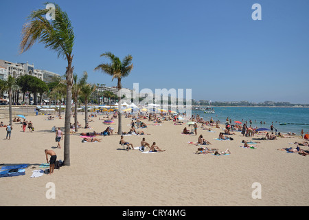 Plage Publique (spiaggia pubblica), Cannes, Côte d'Azur, Alpes-Maritimes, Provence-Alpes-Côte d'Azur, in Francia Foto Stock