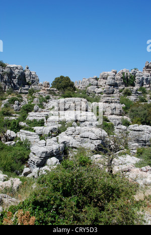 Paesaggio carsico, Parco Nazionale di El Torcal, Torcal de Antequera, provincia di Malaga, Andalusia, Spagna, Europa occidentale. Foto Stock