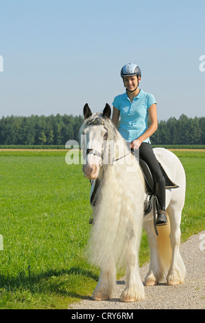 Gypsy Vanner cavallo Tinker irlandese giovane pilota su un Tinker in piedi su una strada Foto Stock