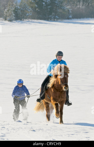 Due ragazze divertimento mentre skijoring con un cavallo islandese Foto Stock