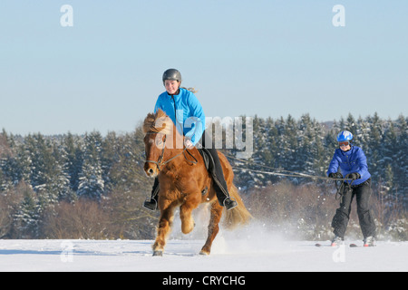 Due ragazze divertimento mentre skijoring con un cavallo islandese Foto Stock