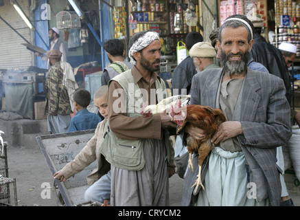 I polli vivi per la vendita nel mercato di strada Foto Stock