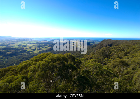 Illawarra Fly Tree Top Walk, vicino a Wollongong, Nuovo Galles del Sud, Australia Foto Stock