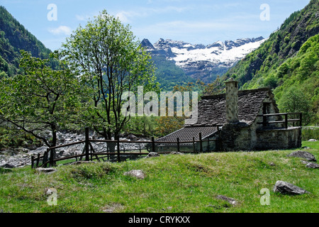 Rustico tradizionale casa di pietra - vegornesso valley - canton Ticino - Svizzera Foto Stock