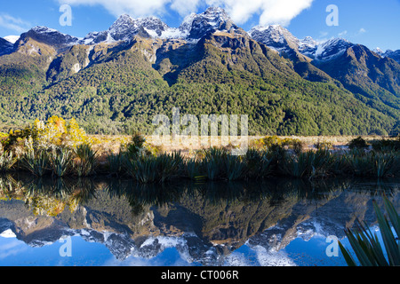 Specchio tarn, Hollyford Valley, Fiordland, Nuova Zelanda Foto Stock
