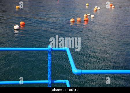 Composizione astratta di arancio e bianco pesca galleggianti e un blu brillante ringhiera in primo piano Foto Stock