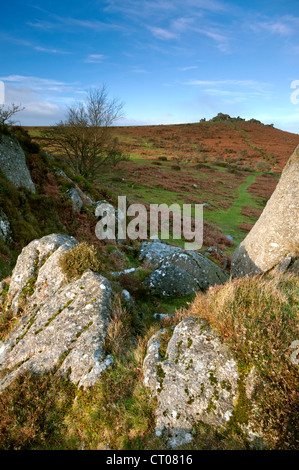 Vista verso Hound Tor da rocce Greator, Parco Nazionale di Dartmoor. Foto Stock