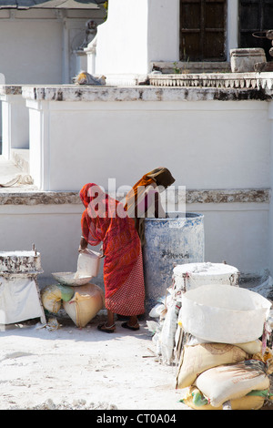 Due donne lavoratori manuali indossando il tradizionale sari lavorando sulla ricostruzione degli Indù Shree Jagat Sheromani Ji in Udaipur, India Foto Stock