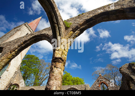 Le rovine della vecchia chiesa della Santa Trinità bove Buckfastleigh in Devon Foto Stock