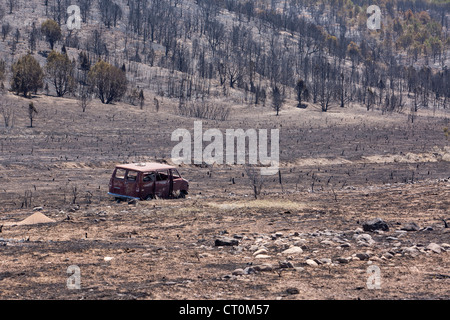 Le conseguenze di un incendio che ha distrutto le case, cabine ed edifici in una zona montuosa dello Utah, Stati Uniti d'America. Foto Stock