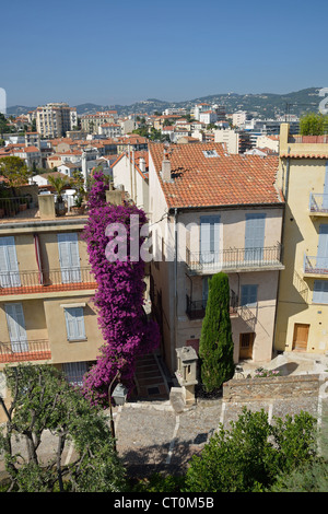 La Suquet (Città Vecchia), Cannes, Côte d'Azur, Alpes-Maritimes, Provence-Alpes-Côte d'Azur, in Francia Foto Stock