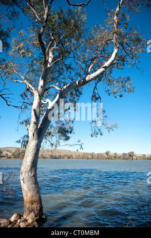 Struttura di gomma al confine con l'acqua potabile serbatoio Umberumberka nell'outback del Nuovo Galles del Sud Vicino Silverton Foto Stock