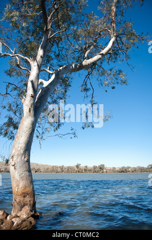 Struttura di gomma al confine con l'acqua potabile serbatoio Umberumberka nell'outback del Nuovo Galles del Sud Vicino Silverton Foto Stock