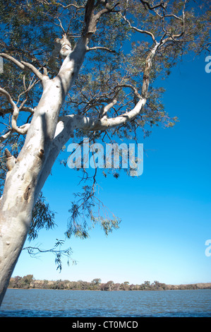 Struttura di gomma al confine con l'acqua potabile serbatoio Umberumberka nell'outback del Nuovo Galles del Sud Vicino Silverton Foto Stock