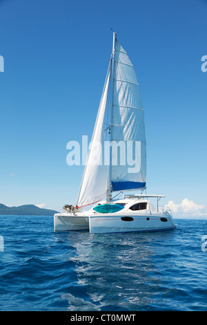 Catamarano in mare Foto Stock