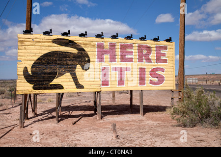 Affissioni la marcatura del Jackrabbit trading post sul percorso 66 nella città di Giuseppe, Arizona Foto Stock