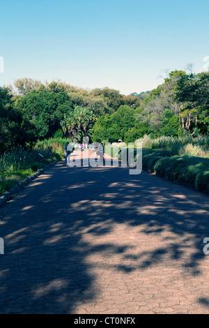 I turisti a piedi nella Kirstenbosch National Botanical Garden, Cape Town, Sud Africa Foto Stock