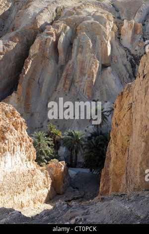 Oasi di montagna Chebika alla frontiera del Sahara in Tunisia Foto Stock