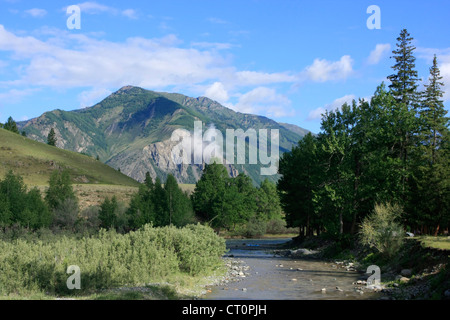 Natura incontaminata scena lungo il fiume Chuya, Altai, Siberia, Rissia Foto Stock