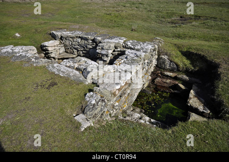 St Gwenfaens ben testa Rhoscolyn Isola Santa su Anglesey Foto Stock