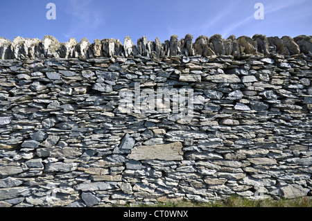 Muretti a secco su Anglesey North Wales Foto Stock