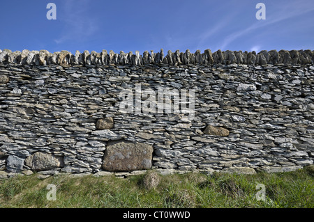 Muretti a secco su Anglesey North Wales Foto Stock