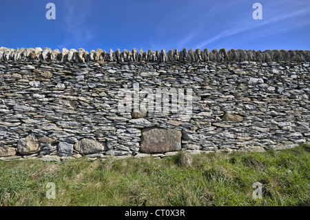 Muretti a secco su Anglesey North Wales Foto Stock