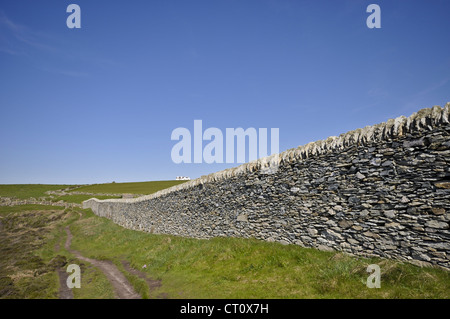 Muretti a secco su Anglesey North Wales Foto Stock