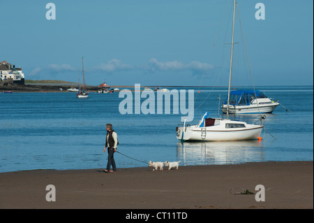 Barche ormeggiate su Torridge estuary a Instow, Devon, guardando a Appledore, England, Regno Unito Foto Stock