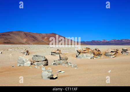 Rock in Eduardo Avaroa fauna Andina riserva nazionale, Southwest Highlands, Bolivia, Sud America Foto Stock