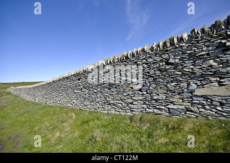 Muretti a secco su Anglesey North Wales Foto Stock