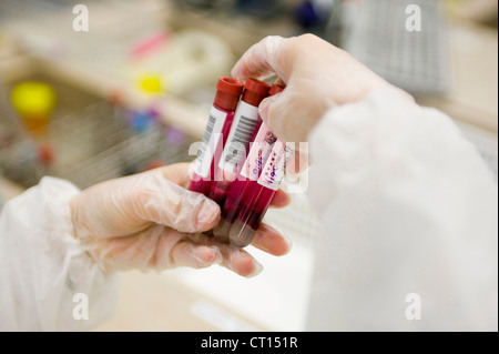 Un medico tenere i campioni di sangue Foto Stock