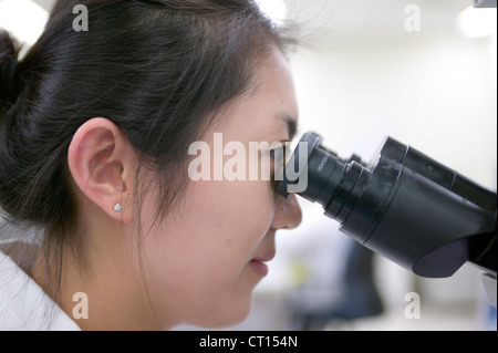 Un tecnico di laboratorio studi diapositive di campioni di sangue Foto Stock