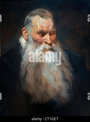 Studio testa di un uomo vecchio con la barba bianca 1617 Anthony van Dyck Belgio belga Foto Stock